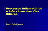 Processos Inflamatórios e Infecciosos Das Vias Biliares