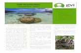 GVI Seychelles Newsletter Issue 9 December 2015