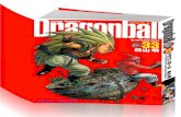DragonBall Vol33
