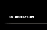 Co Ordination