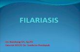 Filariasis 2003