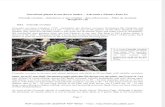 Eduart Zimer - (SDU) - Adventive Plants - Part 9 (2010)
