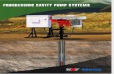 Progressing Cavity Pump Systems Brochure