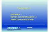 Us Principi Di Funzionamento e Prospettive Diagnostiche PDF