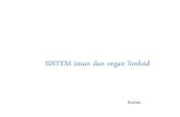 2.1. Histologi Sistem Imun