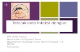 Tatalaksana Infeksi Dengue Lengkap