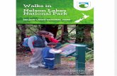 Nelson Lakes Short Walks Brochure