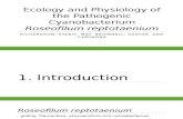 Ecology and Physiology of the Pathogenic Cyanobacterium Roseofilum.pptx