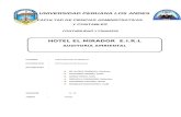 Trabajo Auditoria Conta Ambiental Auditoria Sindicato.empresa .. 3 1