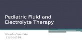 Pediatric Fluid and Electrolyte Therapy