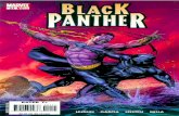 Black Panther 21 - Civil War