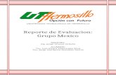 Reporte Grupo Mexico