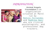 Animal Angel Foundation