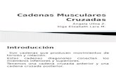 Cadenas Musculares Cruzadas