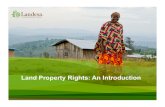 Land Property Rights: An Introduction