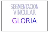 -Segmentacion VINVULAR GLORIA.docx