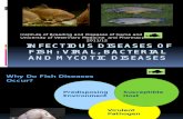Microbial Fish Diseases 2011