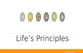 Life's principles
