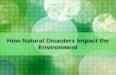 Impact of natural disaster on environment