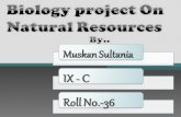 Biology Ppt on natural resources