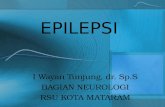 Epilepsi-unizar Smtr 4