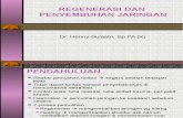 Regenerasi & Penyembuhan Jaringan dr. Henny.ppt