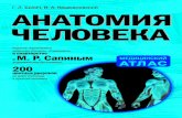 Anatomie umana (rus)