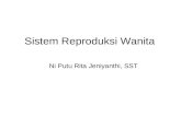 Sistem Reproduksi Wanita - Copy.ppt