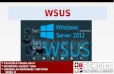 Windows Services Update