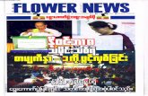 Flower News Vol 11 No 43