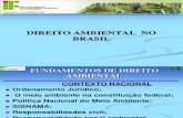 Aula 1_introdução Direito Ambiental Brasil