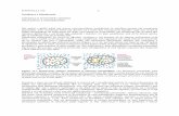 Kapitulli 11 Struktura e Membranes Qelizore (1)
