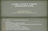 Low Cost Drip Irrigation