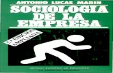 Antonio Lucas Marin Sociologc3ada de La Empresa1