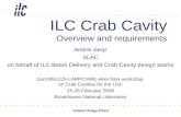 Global Design Effort ILC Crab Cavity Overview and requirements Andrei Seryi SLAC on behalf of ILC Beam Delivery and Crab-Cavity design teams Joint BNL/US-LARP/CARE-HHH.