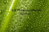 3.8 Photosynthesis (Core). 3.8.1 State that photosynthesis involves the conversion of light energy into chemical energy. 3.8.2 State that light from the.