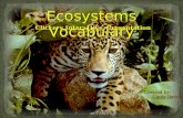 Ecosystems Vocabulary Clickers Interactive Presentation Created by: Cindy Jarrett Cindy Jarrett Ecosystems Vocabulary.