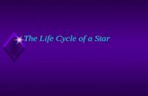 The Life Cycle of a Star Today’s Objective u SWBAT – Analyze the life cycle of a star.