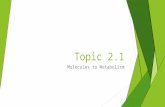 Topic 2.1 Molecules to Metabolism. Urea & Falsification of Vitalism Vitalism – theory the origin and phenomena of life are due to a vital principle, which.