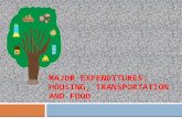 MAJOR EXPENDITURES: HOUSING, TRANSPORTATION AND FOOD.