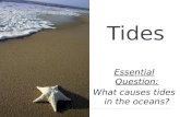 Tides Essential Question: What causes tides in the oceans?