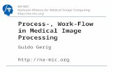 NA-MIC National Alliance for Medical Image Computing   Process-, Work-Flow in Medical Image Processing Guido Gerig