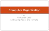 11 Instruction Sets: Addressing Modes and Formats Computer Organization.