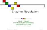 11/12/2009Biochem: Enzyme Regulation Enzyme Regulation Andy Howard Introductory Biochemistry 12 November 2008.