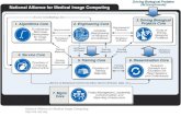 National Alliance for Medical Image Computing   Structure