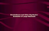 Brontotheres and Other Big Brutes: Evolution of Large Mammals.