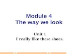 Module 4 The way we look Unit 1 I really like these shoes.