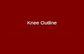 Knee Outline. Bones of the Knee Femur- thighbone, largest and hardest bone in body Tibia- largest lower leg bone. Distal end forms medial malleolus Fibula-