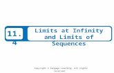 Copyright © Cengage Learning. All rights reserved. 11.4 Limits at Infinity and Limits of Sequences.