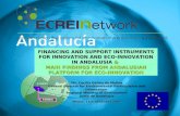 11 FINANCING AND SUPPORT INSTRUMENTS FOR INNOVATION AND ECO-INNOVATION IN ANDALUSIA & MAIN FINDINGS FROM ANDALUSIAN PLATFORM FOR ECO-INNOVATION Ms. Cecilia.